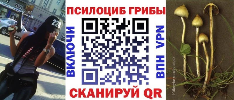 Псилоцибиновые грибы мицелий купить цена Волосово